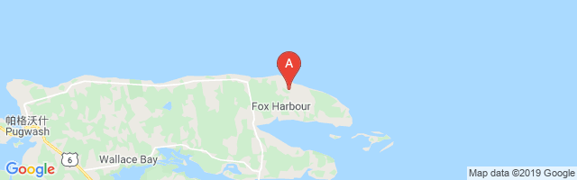 Fox Harbour Airport